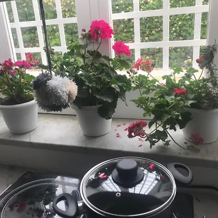 Pensionat La Casetta Di Lucia 3*