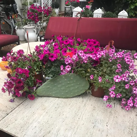 La Casetta Di Lucia Mondello