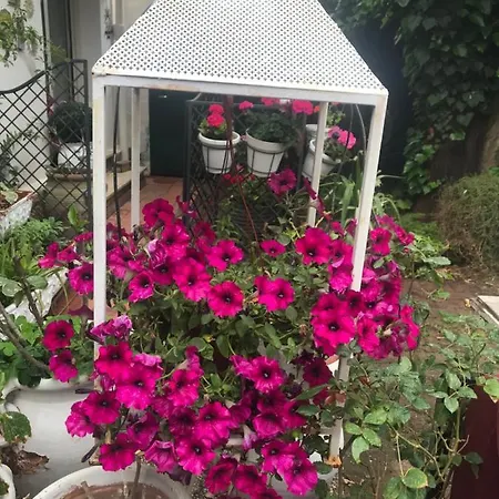 La Casetta Di Lucia 3* Mondello