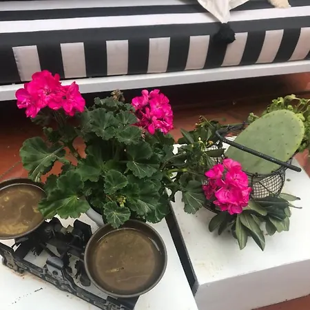 Pensionat La Casetta Di Lucia Mondello